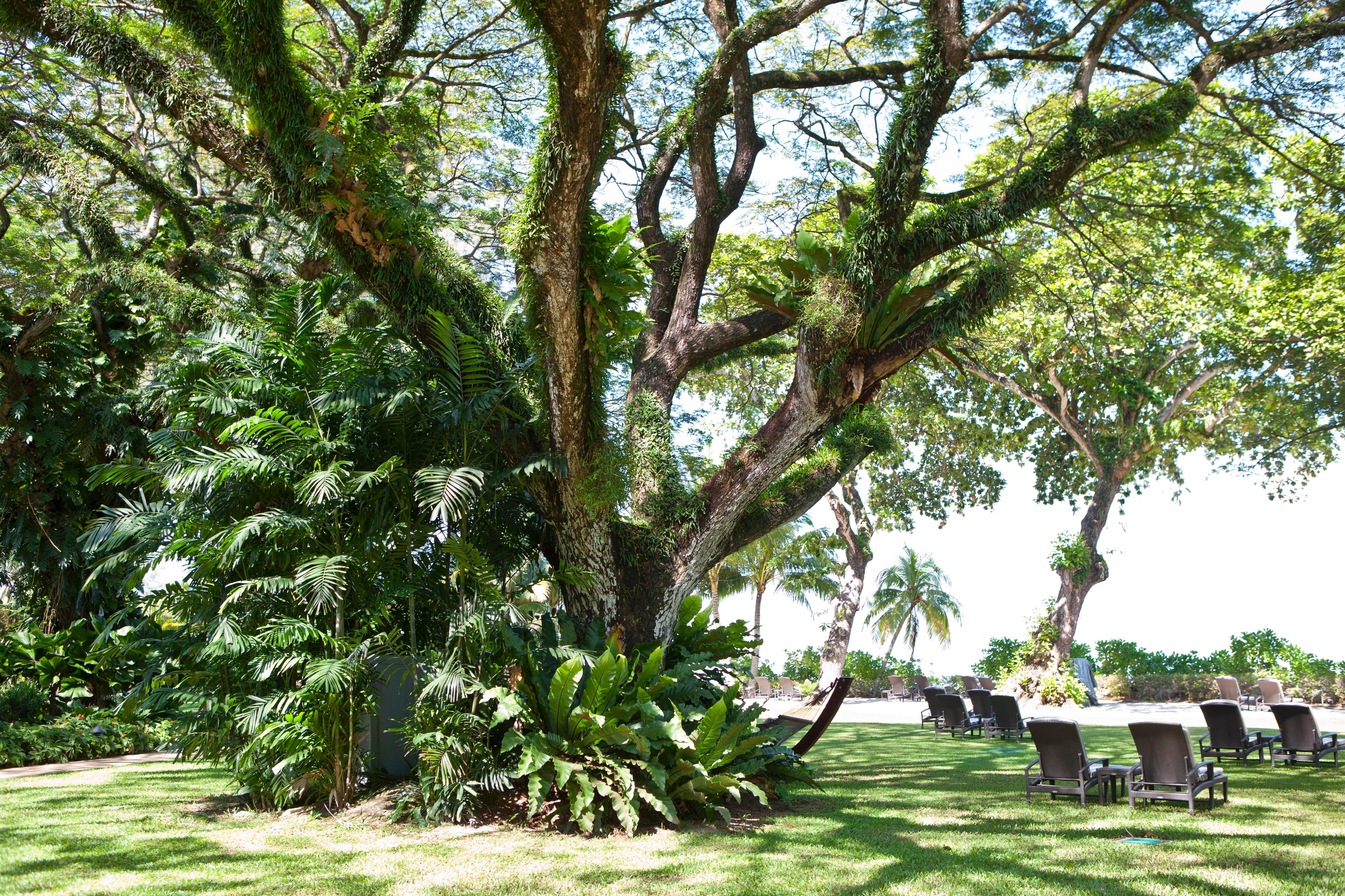 Shangri-La Rasa Sayang, Penang Batu Ferringhi Exterior foto The gardens of the hotel